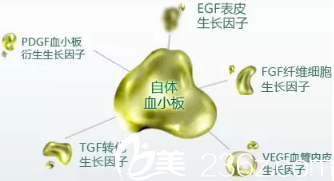 董春姬醫(yī)生擅長的PRP血膠原療法