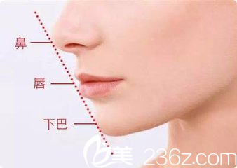下巴的美學(xué)標(biāo)準(zhǔn)鼻唇下巴在一條直線上