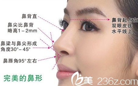 完美鼻形