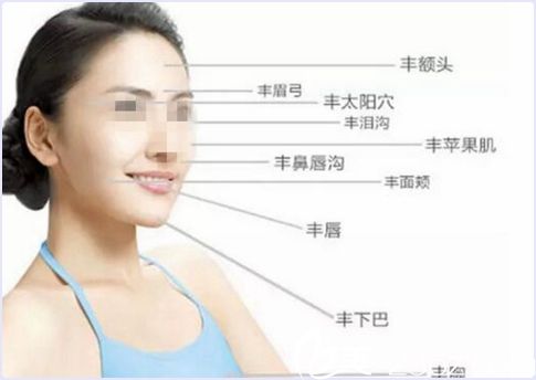 漯河締美儷自體脂肪面部填充 漯河締美儷自體脂肪面部填充