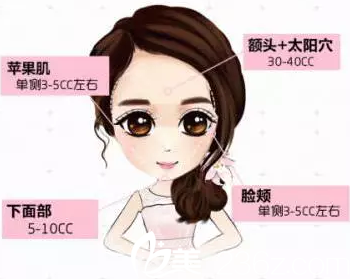 面部填充自體脂肪標(biāo)準(zhǔn)量