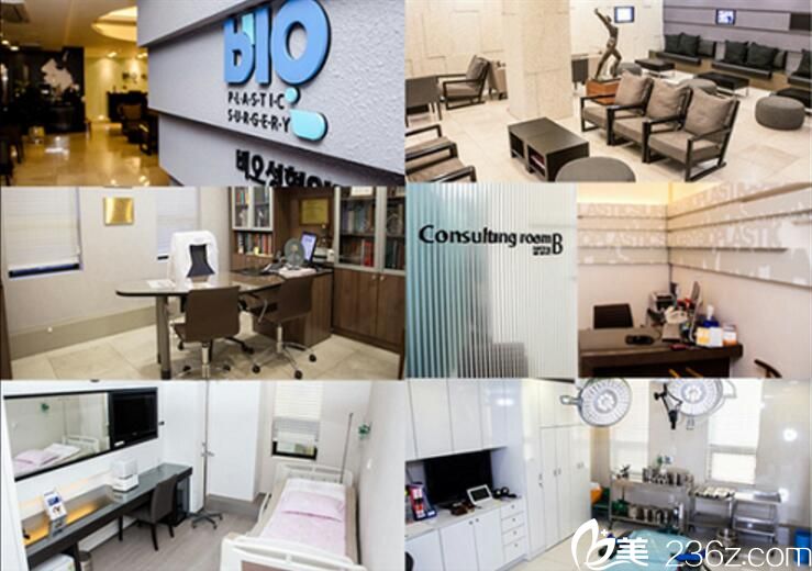 BIO整形外科 韓國半島整形外科