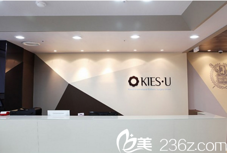 韓國KIES-U整形外科醫(yī)院 韓國KIES-U整形外科醫(yī)院