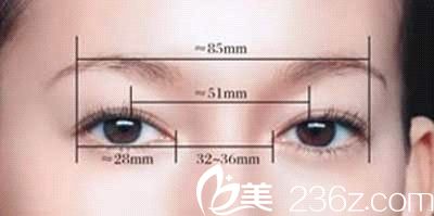 眼部整形美學(xué)標(biāo)準(zhǔn)
