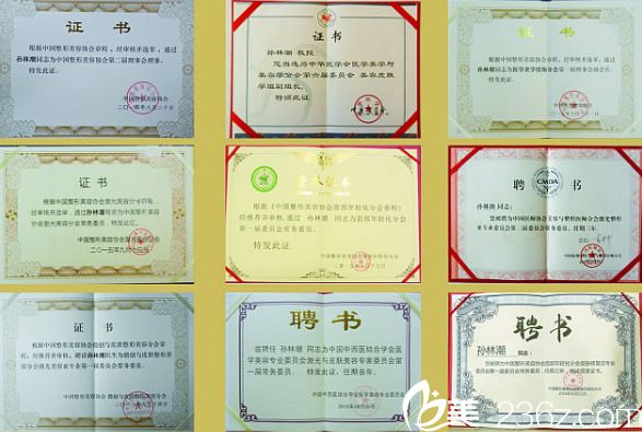 孫林潮醫(yī)生榮譽證書 孫林潮醫(yī)生榮譽證書