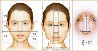 東方藝定制美鼻標準