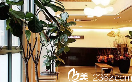 韓國世賢整形外科醫(yī)院前臺(tái)