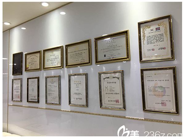 韓國美人制造整形醫(yī)院榮譽