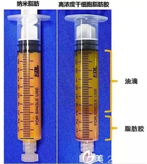 脂肪膠和傳統(tǒng)脂肪不同之處