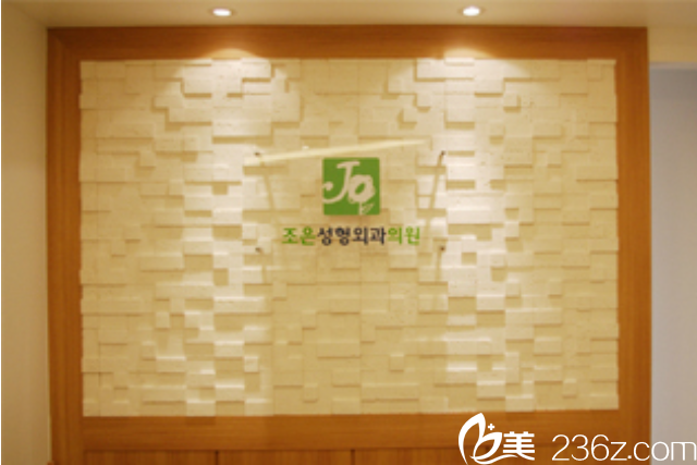 韓國Joy整形外科醫(yī)院 韓國Joy整形外科醫(yī)院