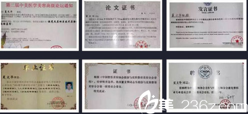 北京聯(lián)合麗格醫(yī)療美容醫(yī)院夏醫(yī)生證書 北京聯(lián)合麗格醫(yī)療美容醫(yī)院夏醫(yī)生證書