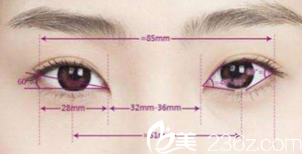 濟源<!--<i data=20240703-sp></i>-->萍雙眼皮的標準