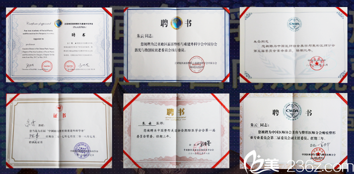 朱云醫(yī)生所獲榮譽證書 朱云醫(yī)生所獲榮譽證書