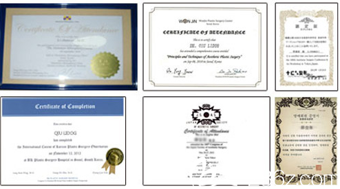 陳萬(wàn)芳部分證書(shū)