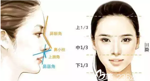 長春東方鼻綜合手術(shù)美學(xué)