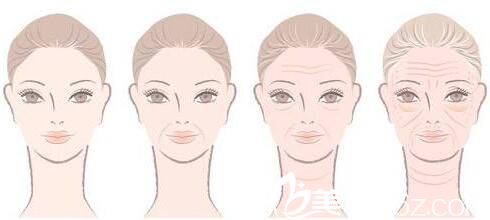 韓國樸賢整形外科自體脂肪移植