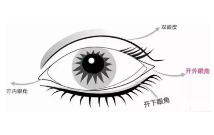 眼部整形手術(shù) 眼部整形手術(shù)