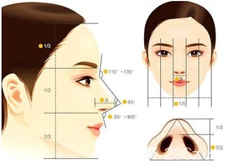 韓國AURORA 整形外科醫(yī)院假體隆鼻原理