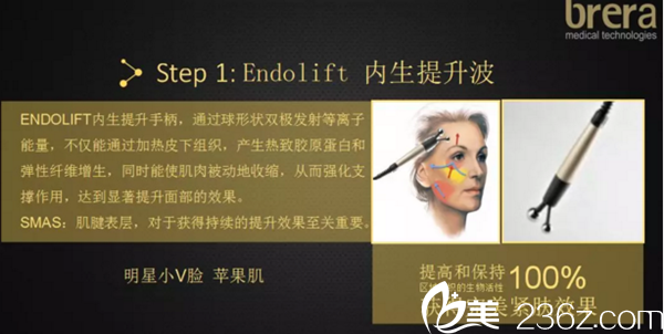 內(nèi)生提升波