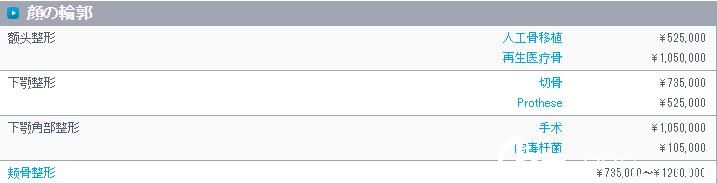 輪廓整形價位表 輪廓整形價位表