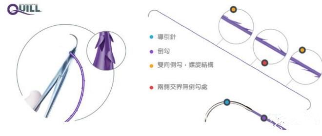 蛋白線羽毛提拉