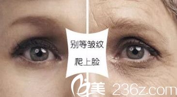 皮膚日漸衰老的過程