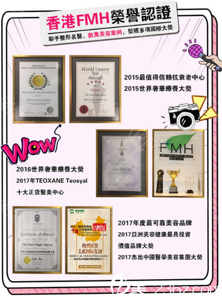 香港FMH醫(yī)學(xué)美容醫(yī)院榮譽(yù)證書