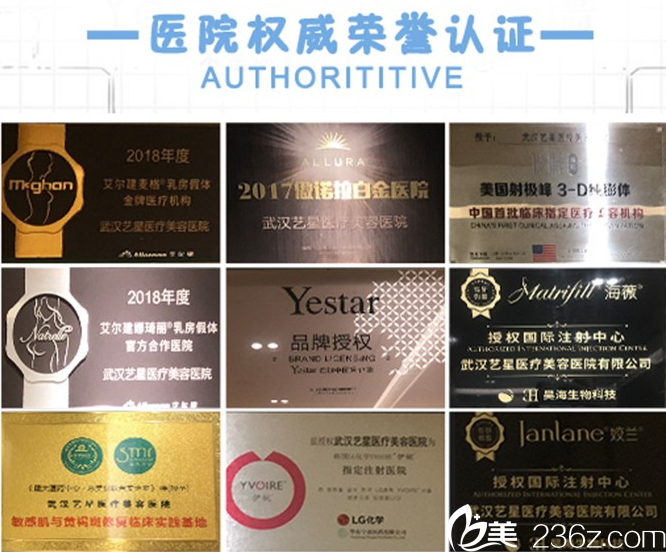 武漢藝星所獲部分榮譽 武漢藝星所獲部分榮譽