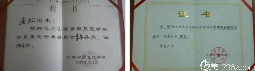 孟松專業(yè)協(xié)會(huì)聘書