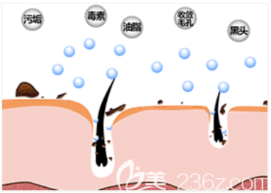 韓國(guó)小氣泡