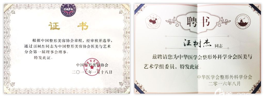 汪樹杰醫(yī)生獲得榮譽(yù)資質(zhì)證書