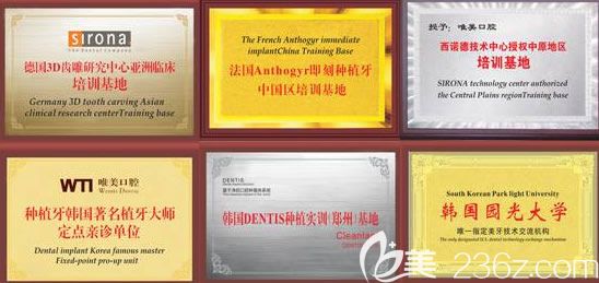 <!--<i data=20240703-sp></i>-->醫(yī)院部分榮譽