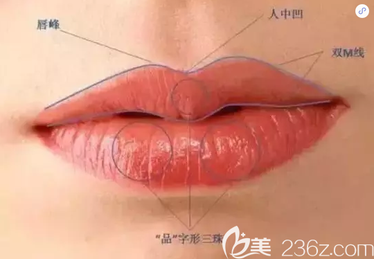 韓國愛慕李炫直講什么是標(biāo)準(zhǔn)m唇 韓國愛慕李炫直講什么是標(biāo)準(zhǔn)m唇