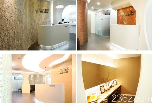 韓國清潭珠顏整形外科 韓國清潭珠顏整形外科