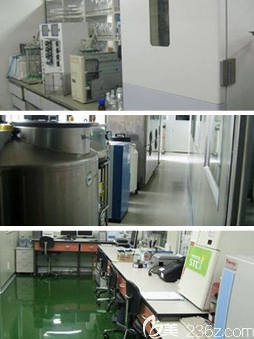 韓國STC研究 韓國STC研究