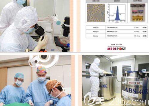 韓國麥恩整形醫(yī)院研究中心