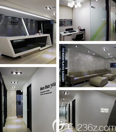 韓國(guó)The moon整形外科