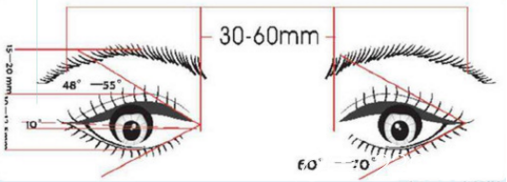 開眼角角度示意圖