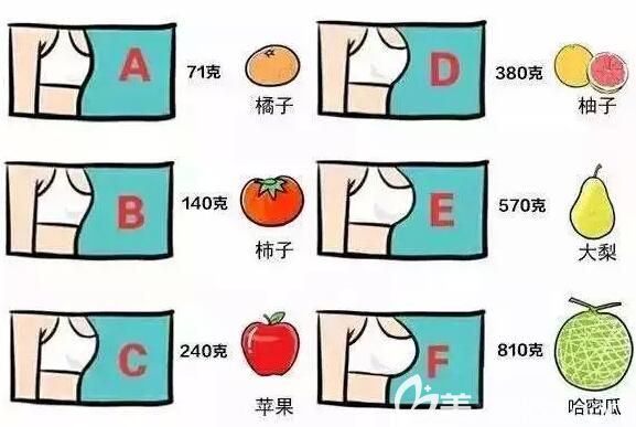 用水果比喻女人胸圍罩杯大小 用水果比喻女人胸圍罩杯大小