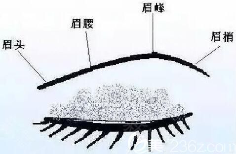 切眉術是什么呢？