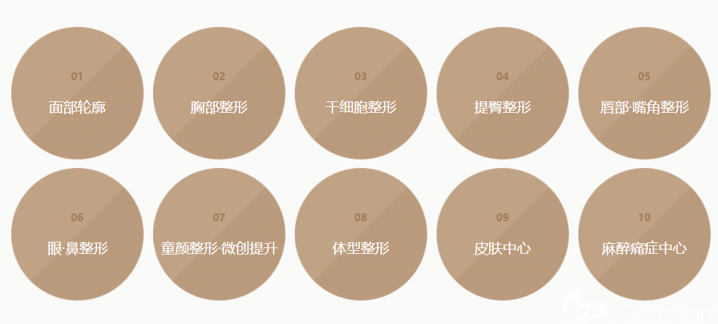 韓國女神整形醫(yī)院開展項目