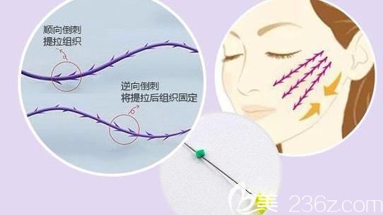 <span style= <span style=