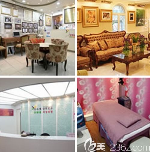 韓國(guó)(信所愛)克里姆特整容外科 韓國(guó)(信所愛)克里姆特整容外科