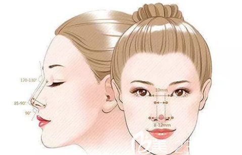 隆鼻手術(shù)美學(xué) 隆鼻手術(shù)美學(xué)