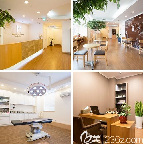 韓國Mega整形醫(yī)院外科