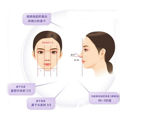 面部美學(xué)標(biāo)準(zhǔn)