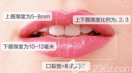 好看的唇部標(biāo)準(zhǔn) 好看的唇部標(biāo)準(zhǔn)