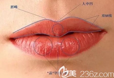 韓國(guó)微笑唇的美學(xué) 韓國(guó)微笑唇的美學(xué)