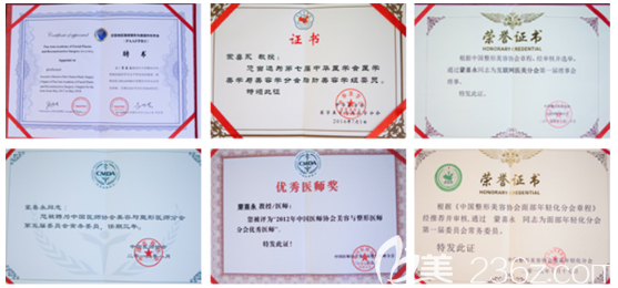 廣州美萊蒙喜永醫(yī)生榮譽證書 廣州美萊蒙喜永醫(yī)生榮譽證書