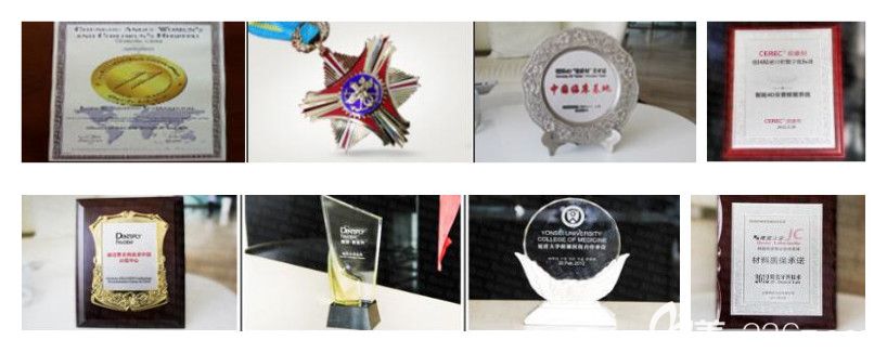雅悅齒科所榮獲的部分榮譽獎杯 雅悅齒科所榮獲的部分榮譽獎杯